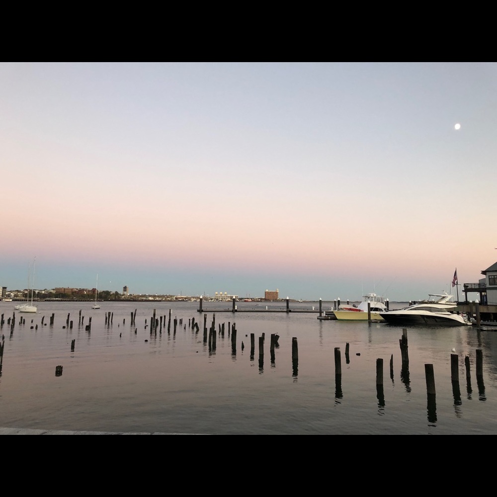 Meet your Posher, Michelle